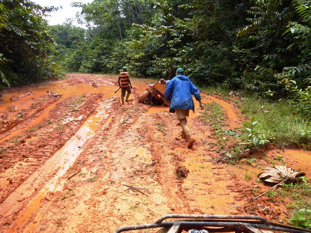 Description: D:\Gil Job Related Doc\Guyana\Guyana Photo Album\2012\02-27-12\web\36.jpg