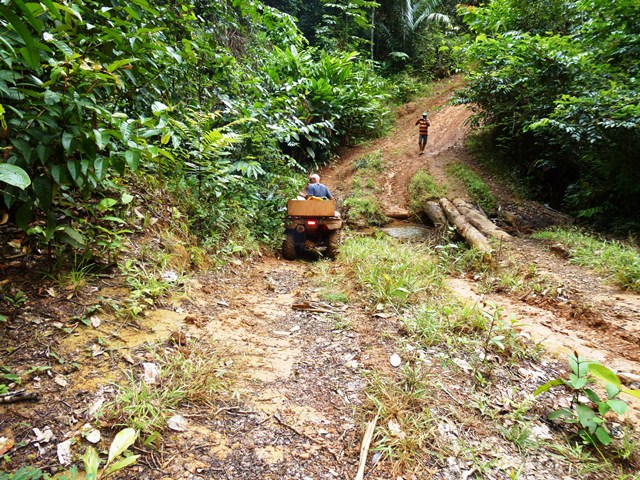 Description: D:\Gil Job Related Doc\Guyana\Guyana Photo Album\2012\02-27-12\web\40.jpg