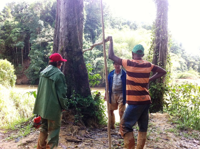 Description: D:\Gil Job Related Doc\Guyana\Guyana Photo Album\2012\02-27-12\web\43.jpg