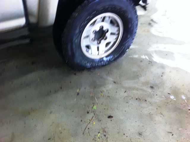 Description: D:\Gil Job Related Doc\Guyana\Guyana Photo Album\2012\02-28-12 Bel Air Flud\web\4.jpg