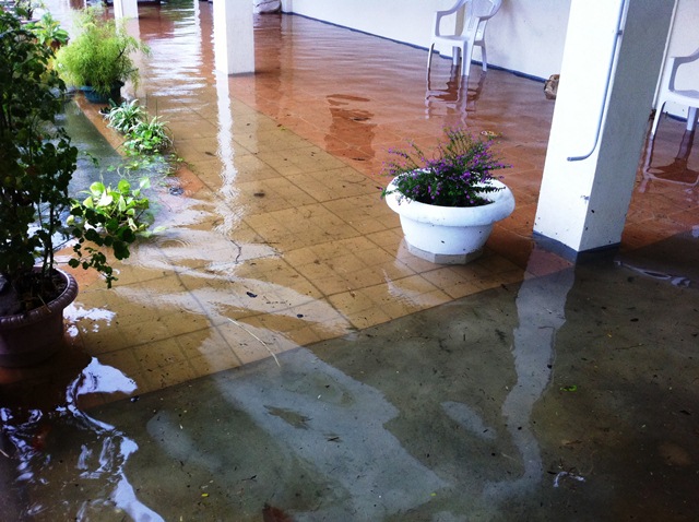 Description: D:\Gil Job Related Doc\Guyana\Guyana Photo Album\2012\02-28-12 Bel Air Flud\web\5.jpg