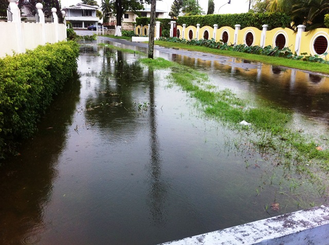 Description: D:\Gil Job Related Doc\Guyana\Guyana Photo Album\2012\02-28-12 Bel Air Flud\web\8.jpg