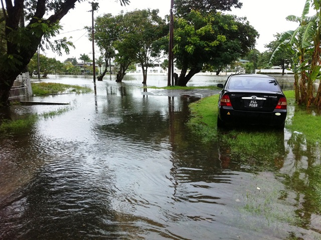 Description: D:\Gil Job Related Doc\Guyana\Guyana Photo Album\2012\02-28-12 Bel Air Flud\web\9.jpg