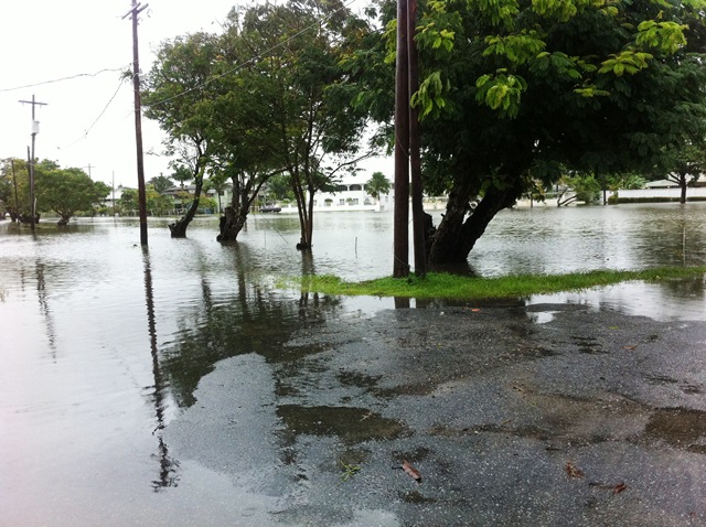 Description: D:\Gil Job Related Doc\Guyana\Guyana Photo Album\2012\02-28-12 Bel Air Flud\web\11.jpg