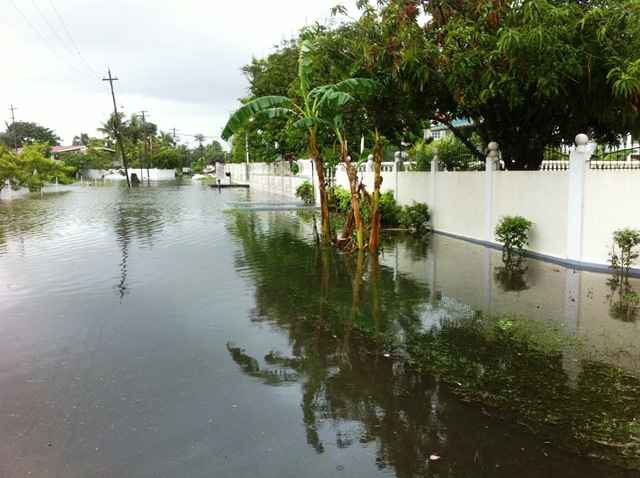 Description: D:\Gil Job Related Doc\Guyana\Guyana Photo Album\2012\02-28-12 Bel Air Flud\web\13.jpg