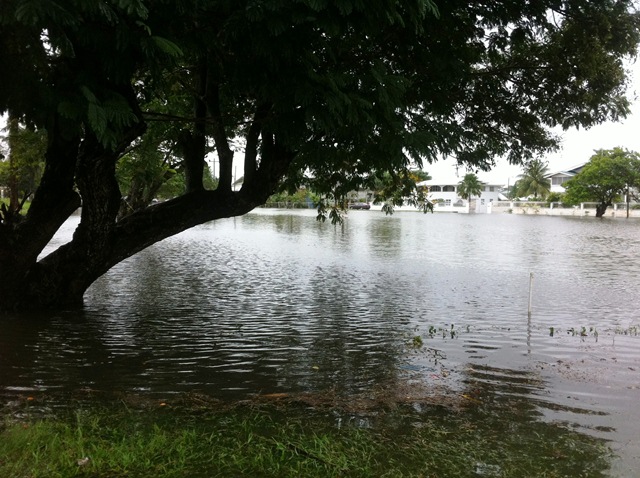 Description: D:\Gil Job Related Doc\Guyana\Guyana Photo Album\2012\02-28-12 Bel Air Flud\web\16.jpg