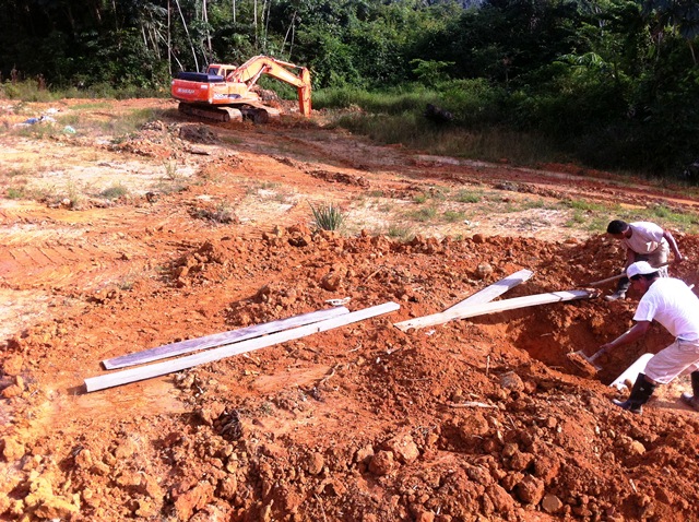 Description: D:\Gil Job Related Doc\Guyana\Guyana Photo Album\2012\01-10-12\Web\14.jpg