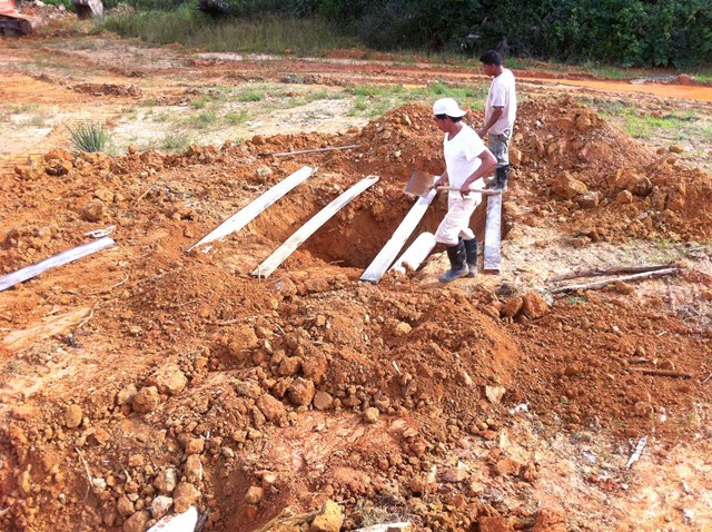 Description: D:\Gil Job Related Doc\Guyana\Guyana Photo Album\2012\01-10-12\Web\16.jpg