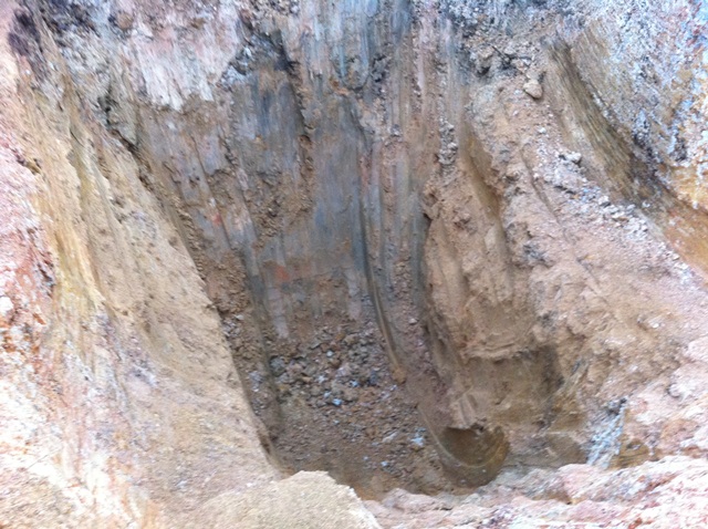 Description: D:\Gil Job Related Doc\Guyana\Guyana Photo Album\2012\01-10-12\Web\23.jpg