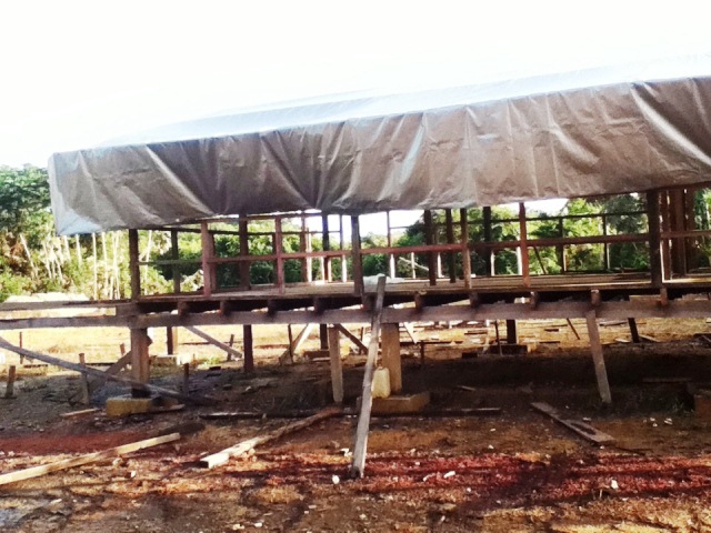 Description: D:\Gil Job Related Doc\Guyana\Guyana Photo Album\2012\01-12-12\Web\1.jpg