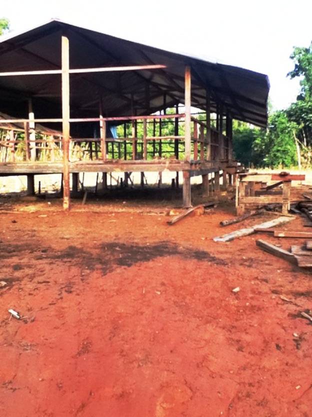 Description: D:\Gil Job Related Doc\Guyana\Guyana Photo Album\2012\01-12-12\Web\5.jpg