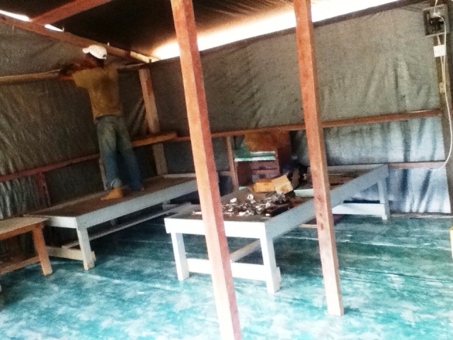 Description: D:\Gil Job Related Doc\Guyana\Guyana Photo Album\2012\01-14-12\Web\3.jpg