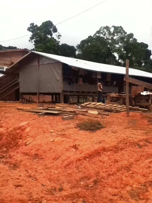 Description: D:\Gil Job Related Doc\Guyana\Guyana Photo Album\2012\01-15-12\Web\5.jpg