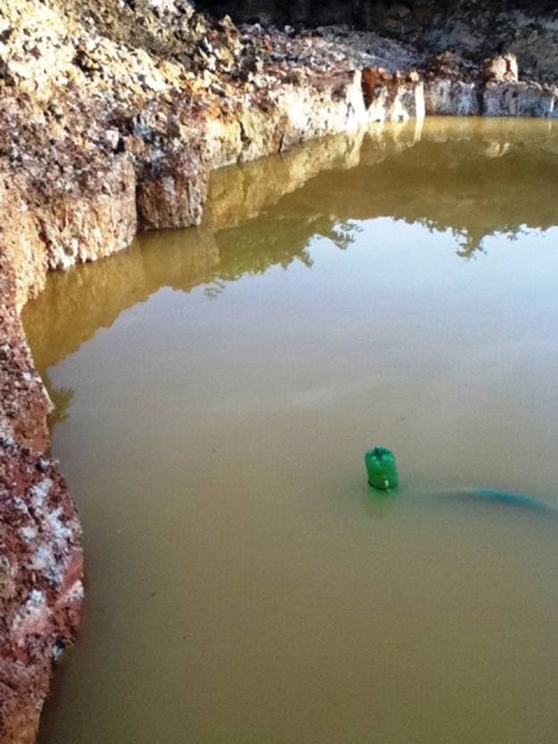 Description: D:\Gil Job Related Doc\Guyana\Guyana Photo Album\2012\01-16-12\Web\5.jpg