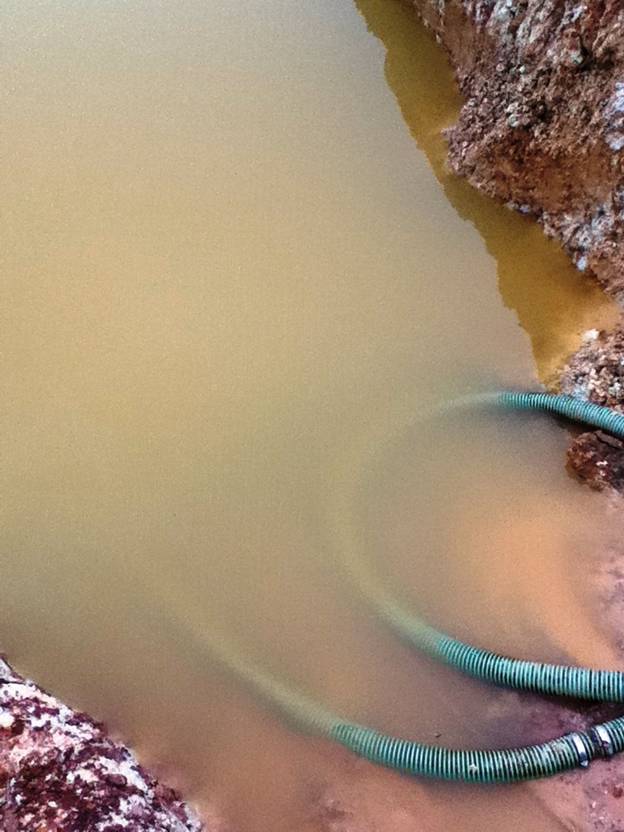 Description: D:\Gil Job Related Doc\Guyana\Guyana Photo Album\2012\01-17-12\IMG_1133.JPG