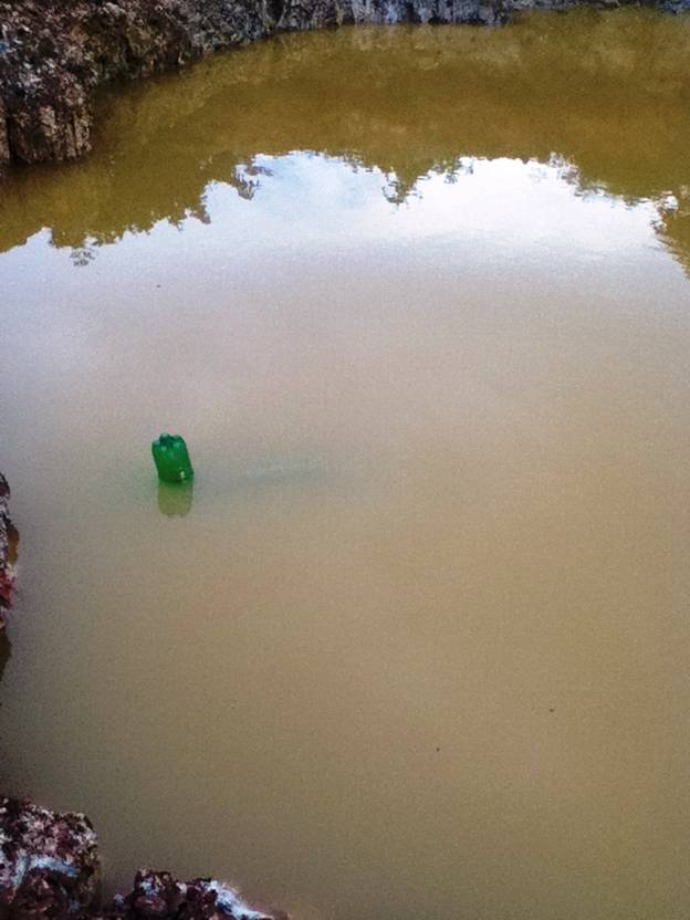 Description: D:\Gil Job Related Doc\Guyana\Guyana Photo Album\2012\01-17-12\IMG_1134.JPG