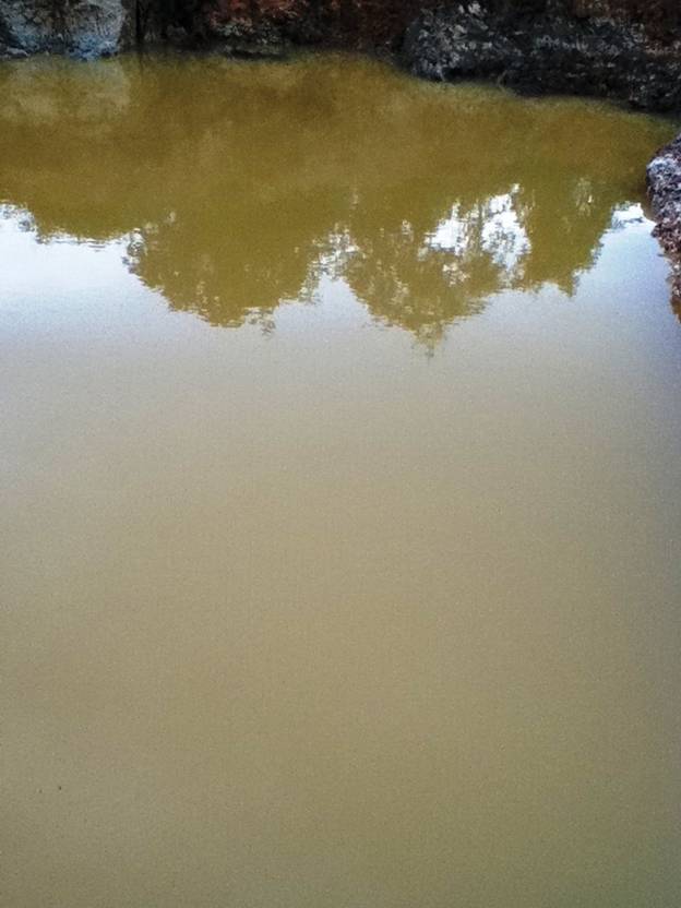 Description: D:\Gil Job Related Doc\Guyana\Guyana Photo Album\2012\01-17-12\IMG_1135.JPG