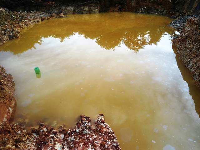 Description: D:\Gil Job Related Doc\Guyana\Guyana Photo Album\2012\01-19-12\Web\2.jpg