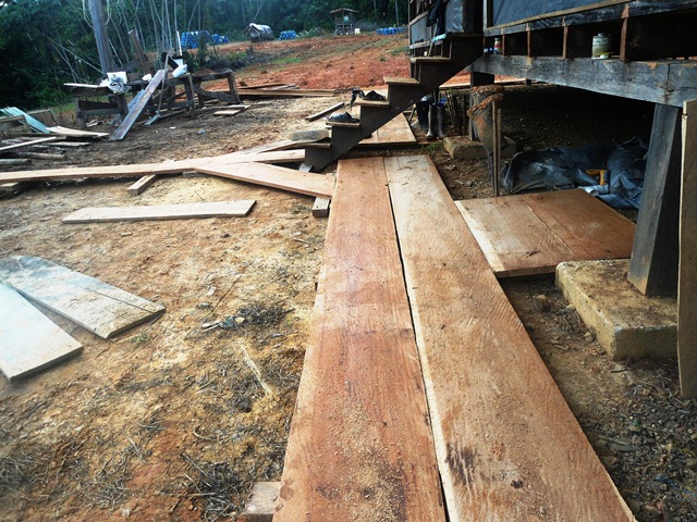 Description: D:\Gil Job Related Doc\Guyana\Guyana Photo Album\2012\01-19-12\Web\4.jpg