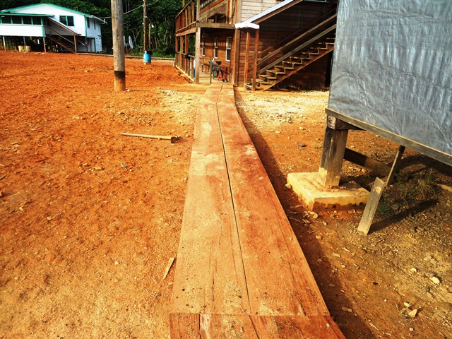 Description: D:\Gil Job Related Doc\Guyana\Guyana Photo Album\2012\01-19-12\Web\9.jpg