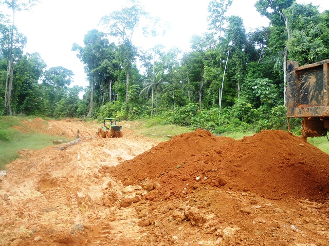 Description: D:\Gil Job Related Doc\Guyana\Guyana Photo Album\2012\01-21-12\web\3.jpg