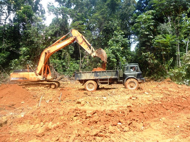 Description: D:\Gil Job Related Doc\Guyana\Guyana Photo Album\Shabanas Photos\Road to Mafia\web\10.jpg