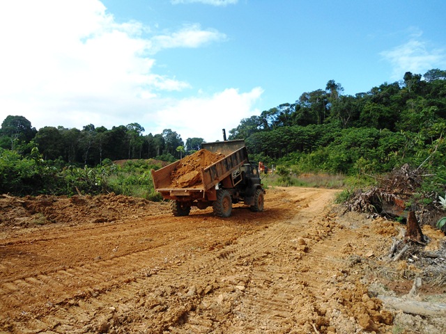 Description: D:\Gil Job Related Doc\Guyana\Guyana Photo Album\Shabanas Photos\Road to Mafia\web\17.jpg