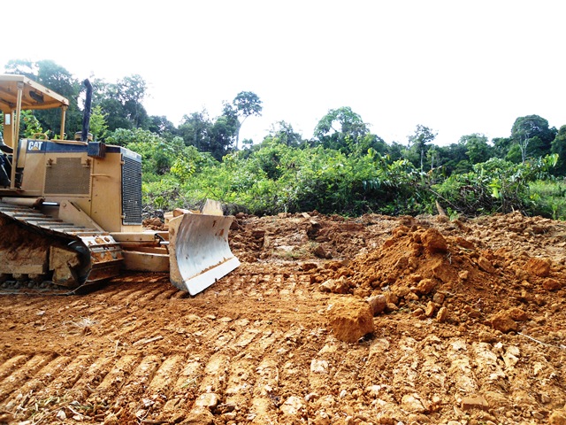 Description: D:\Gil Job Related Doc\Guyana\Guyana Photo Album\Shabanas Photos\Road to Mafia\web\19.jpg