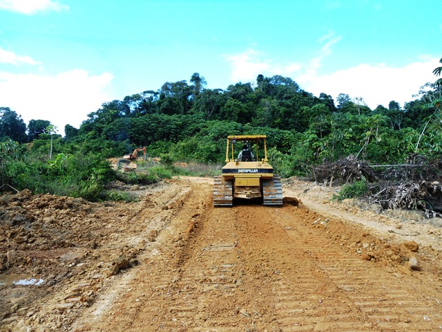 Description: D:\Gil Job Related Doc\Guyana\Guyana Photo Album\Shabanas Photos\Road to Mafia\web\21.jpg