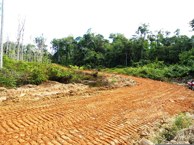 Description: D:\Gil Job Related Doc\Guyana\Guyana Photo Album\Shabanas Photos\Road to Mafia\web\23.jpg