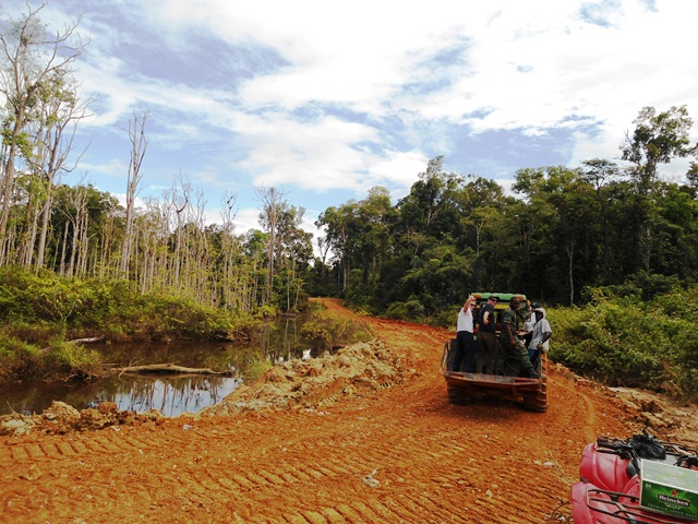 Description: D:\Gil Job Related Doc\Guyana\Guyana Photo Album\Shabanas Photos\Road to Mafia\web\24.jpg