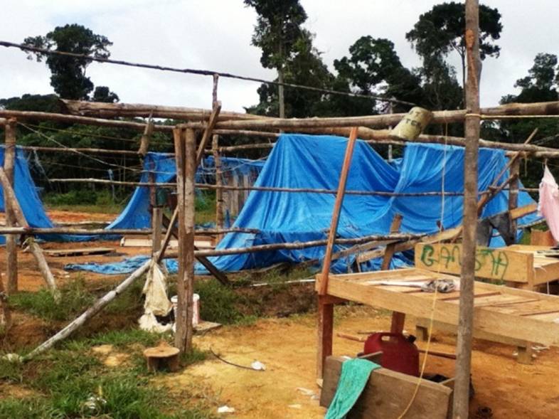 Description: D:\Gil Job Related Doc\Guyana\Guyana Photo Album\2012\01-23-12\web\3.jpg