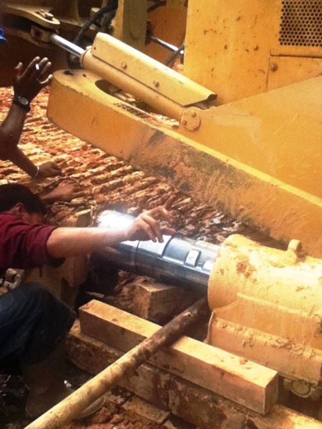 Description: D:\Gil Job Related Doc\Guyana\Guyana Photo Album\2012\01-27-12\web\5.jpg