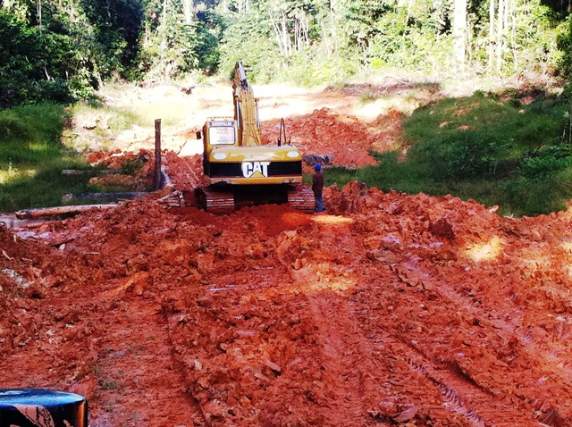 Description: D:\Gil Job Related Doc\Guyana\Guyana Photo Album\2012\01-05-12\Web\12.jpg