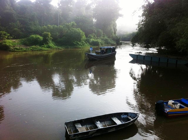 Description: D:\Gil Job Related Doc\Guyana\Guyana Photo Album\2012\01-06-12\Web\5.jpg