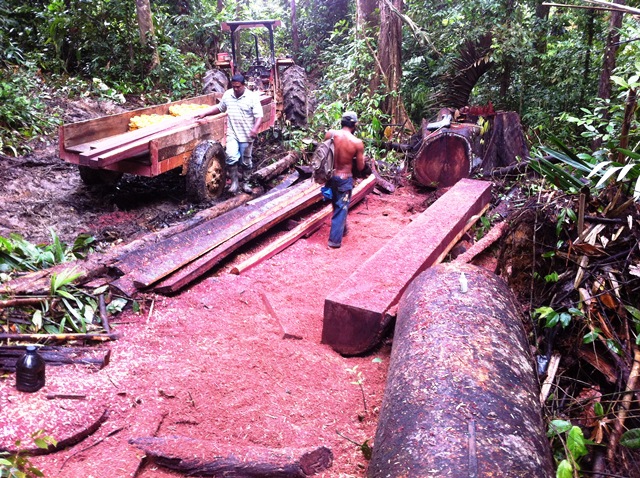 Description: D:\Gil Job Related Doc\Guyana\Guyana Photo Album\2012\01-07-12\Web\6.jpg