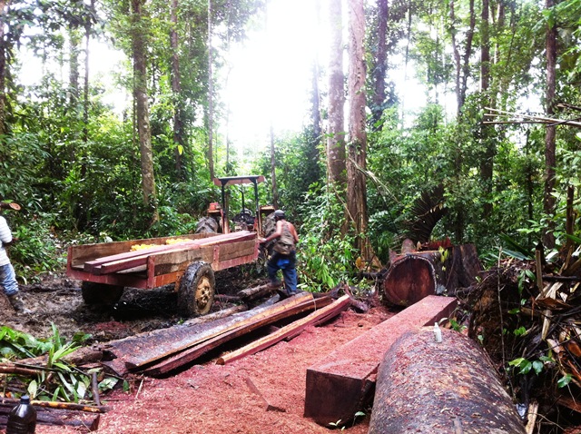 Description: D:\Gil Job Related Doc\Guyana\Guyana Photo Album\2012\01-07-12\Web\7.jpg