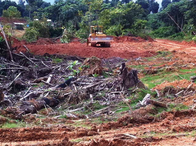 Description: D:\Gil Job Related Doc\Guyana\Guyana Photo Album\2012\01-08-12\Web\3.jpg