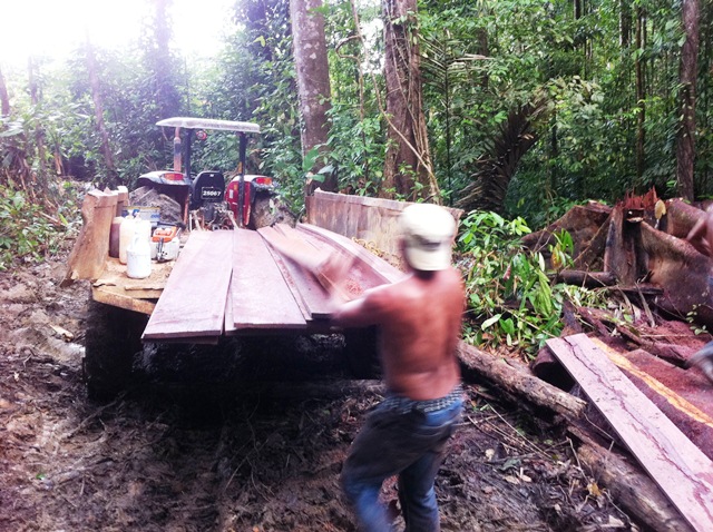 Description: D:\Gil Job Related Doc\Guyana\Guyana Photo Album\2012\01-08-12\Web\4.jpg