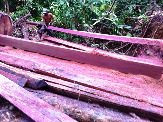 Description: D:\Gil Job Related Doc\Guyana\Guyana Photo Album\2012\01-08-12\Web\5.jpg