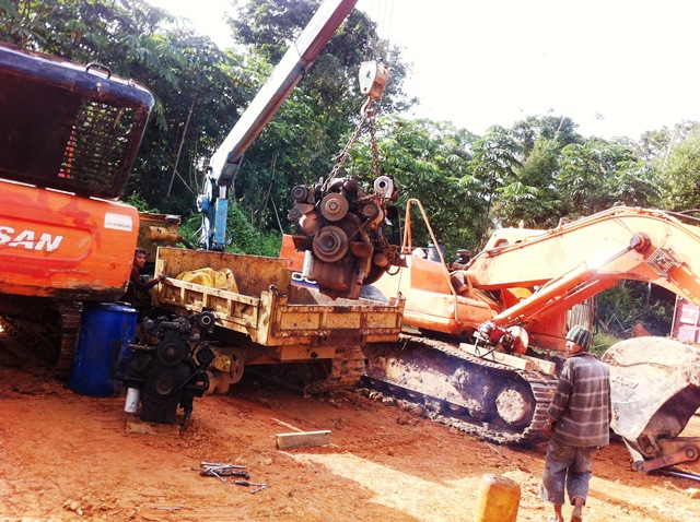 Description: D:\Gil Job Related Doc\Guyana\Guyana Photo Album\2012\01-09-12\Web\15.jpg