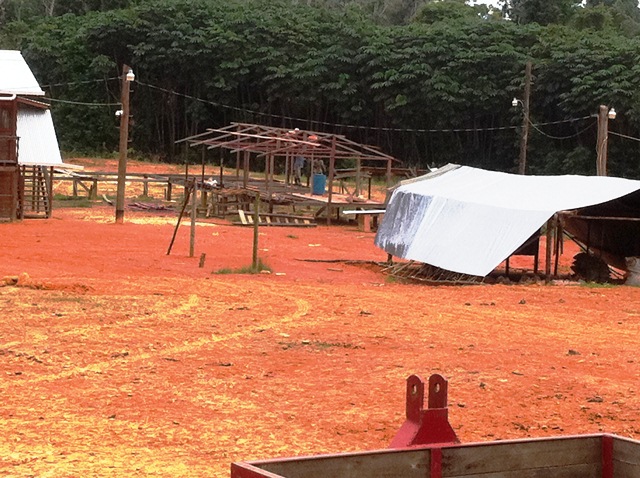 Description: D:\Gil Job Related Doc\Guyana\Guyana Photo Album\2012\01-09-12\Web\11.jpg