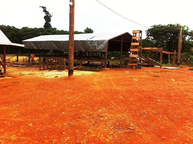 Description: D:\Gil Job Related Doc\Guyana\Guyana Photo Album\2012\01-09-12\Web\18.jpg