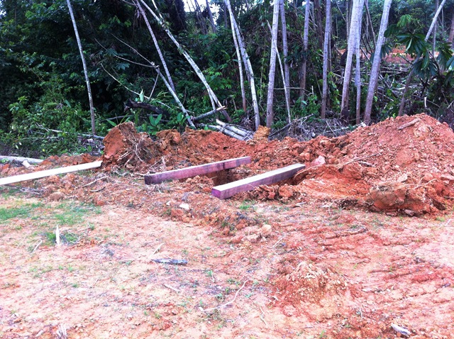 Description: D:\Gil Job Related Doc\Guyana\Guyana Photo Album\2012\01-09-12\Web\20.jpg