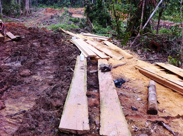 Description: D:\Gil Job Related Doc\Guyana\Guyana Photo Album\2012\01-09-12\Web\21.jpg