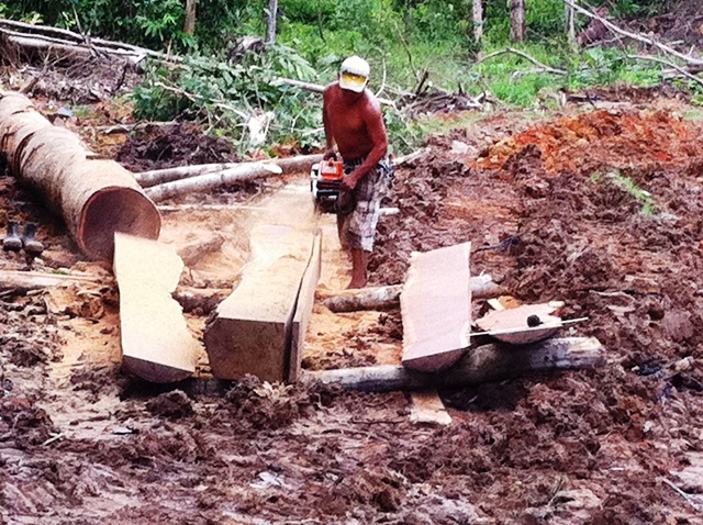 Description: D:\Gil Job Related Doc\Guyana\Guyana Photo Album\2012\01-09-12\Web\22.jpg