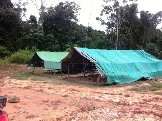 Description: D:\Gil Job Related Doc\Guyana\Guyana Photo Album\2012\01-09-12\Web\Torro1.jpg