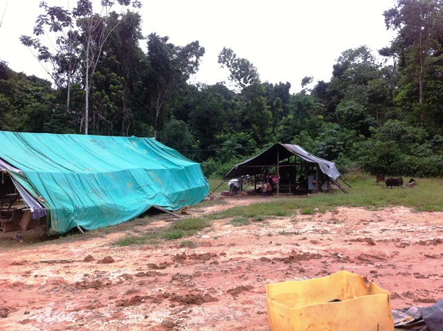 Description: D:\Gil Job Related Doc\Guyana\Guyana Photo Album\2012\01-09-12\Web\Torro2.jpg