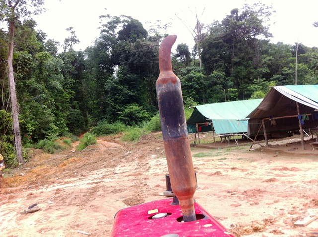 Description: D:\Gil Job Related Doc\Guyana\Guyana Photo Album\2012\01-09-12\Web\Torro5.jpg