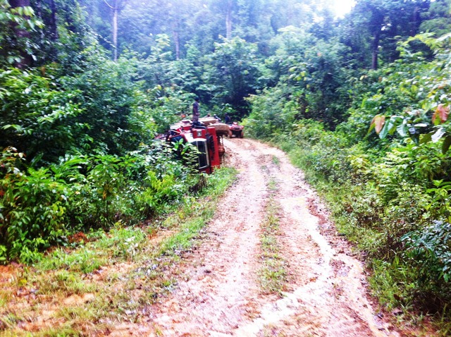 Description: D:\Gil Job Related Doc\Guyana\Guyana Photo Album\2012\Photos\06-07-12\web\10.jpg